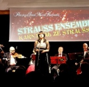 Karnawał ze Straussem - Strauss Ensamble w Pałacykowym Salonie Muzyki Kameralnej