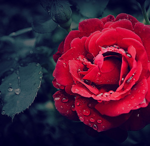 II wojna światowe na terenie gmin Morawica, Chęciny i Sitkówka-Nowiny