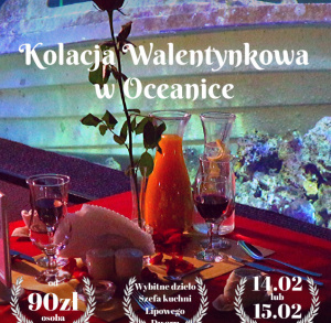 Kolacja walentynkowa w Polanice