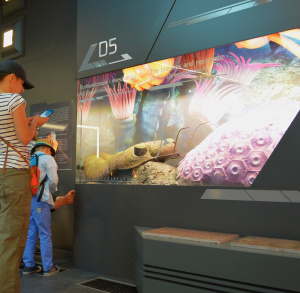 Weekend pozywtywnych emocji z Geopakiem Kielce