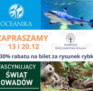 Kompleks Świętokrzyska Polana zaprasza w niedziele