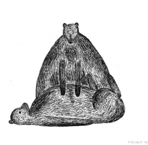 Mój zwierzobyt - wystawa w BWA