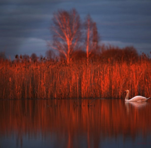 Wernisaż wystawy "Świętokrzyskie z natury"