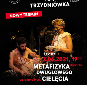 Teatr im. Witkiewicza "Metafizyka dwugłowego cielęcia" - spektakl w KCK