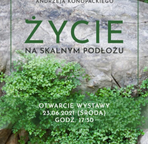 Kielce NATURAlnie - spacer z Geoparkiem