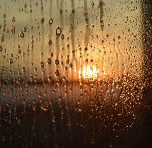 Wernisaż wystawy w BWA Mali Odkrywcy – Wielkie Możliwości