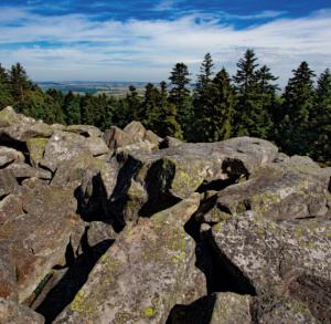 Konteksty: Gołoborze 2020/2021