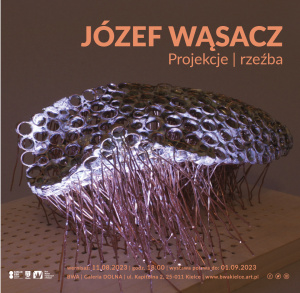 Projekcje - rzeźba - wystawa w BWA