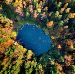 Rezerwat geologiczny Biesak-Białogon