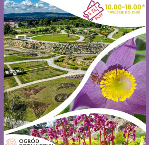 MAJÓWKA W OGRODZIE BOTANICZNYM W KIELCACH