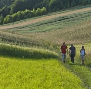 Wycieczka piesza ze Stowarzyszeniem ZIEMIA ŚWIĘTOKRZYSKA