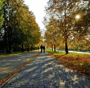 Szlaki piesze po Kielcach - niebieski