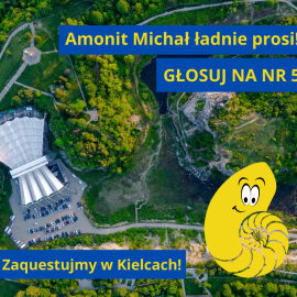 Głosujemy na nr 5 w konkursie Fundacji Questingu