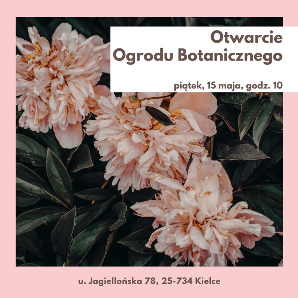 Plansza z kwiatami z ogrodu botanicznego w Kielcach